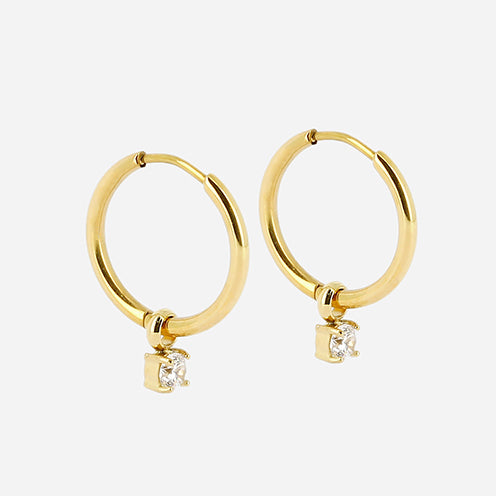 Shinny Earrings
