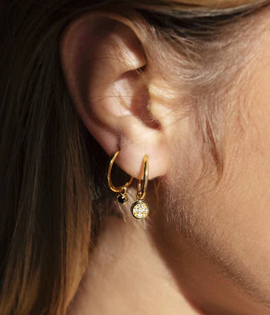 Shinny Earrings