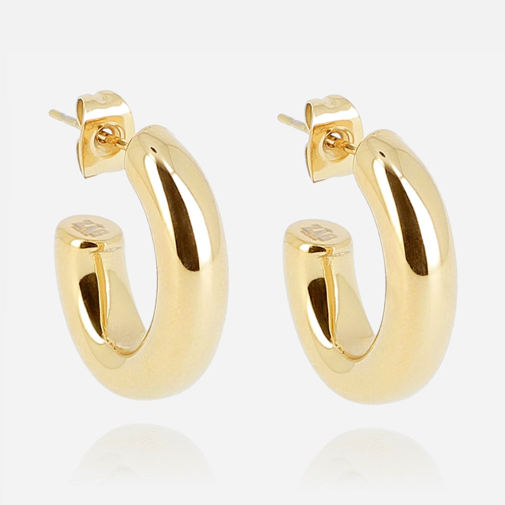 Subtile Earrings