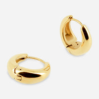 William Earrings