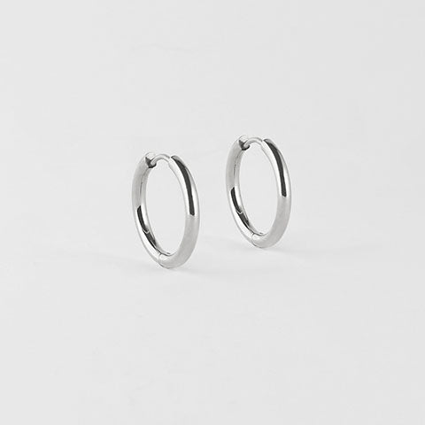 Rosa Earrings Steel