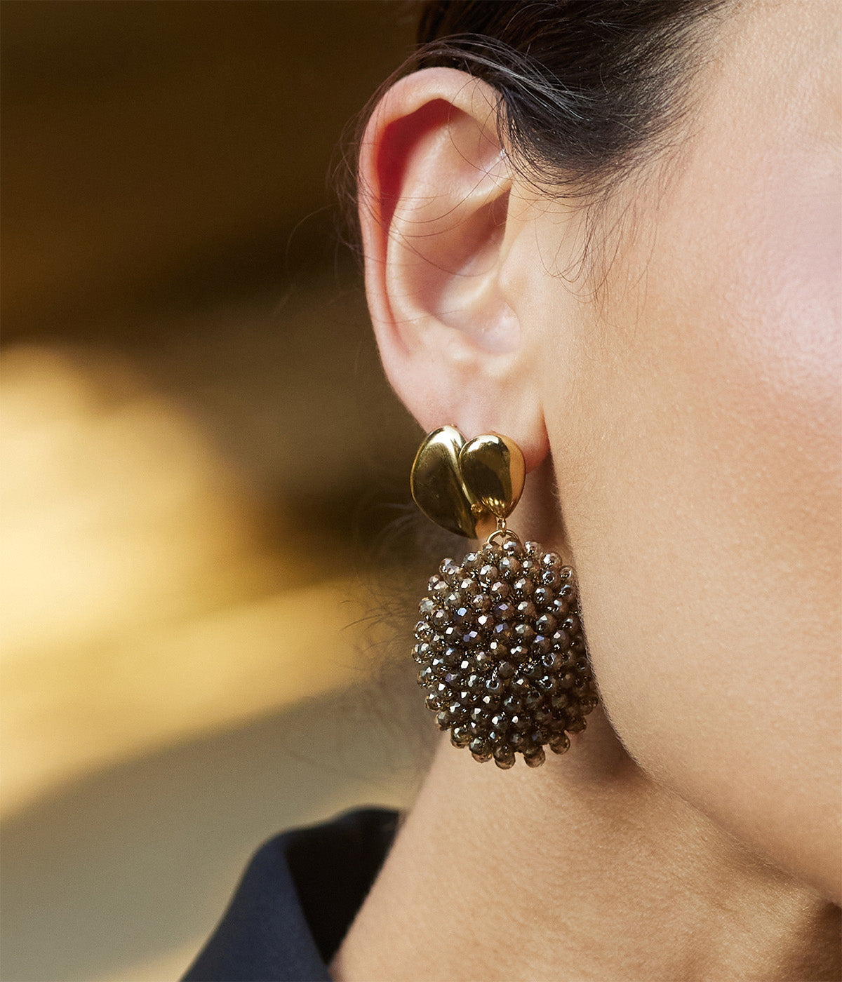 Gaia Earrings Steel